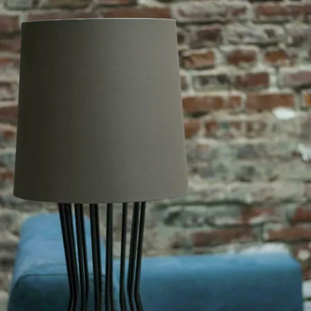 Ribas Ferenc לבוב